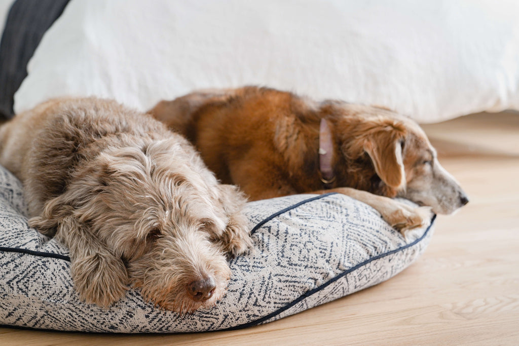 Dog beds